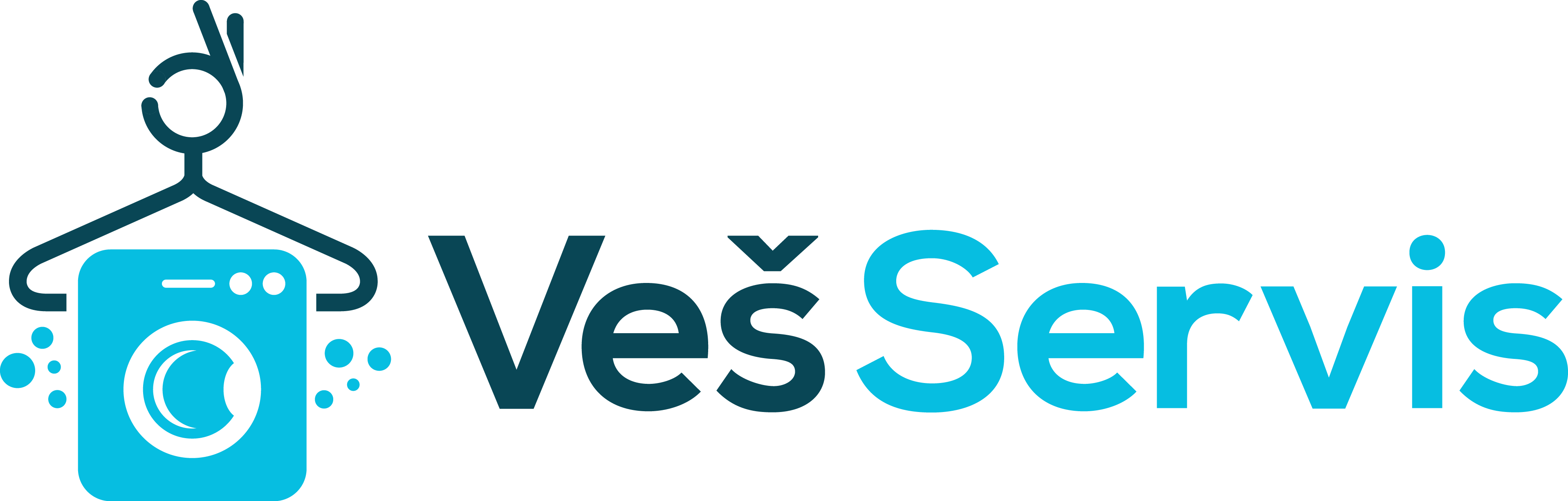 ves-servis-logo